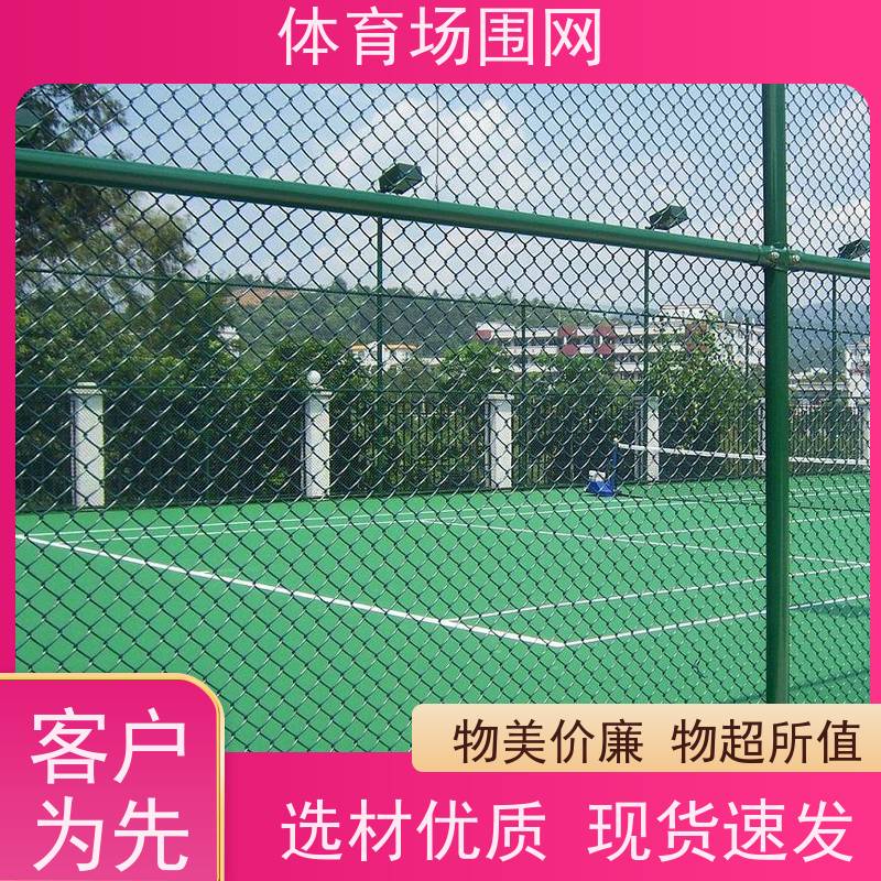室内外篮球场隔离护栏 氟碳漆 门球场围网 套管连接 厂家直供