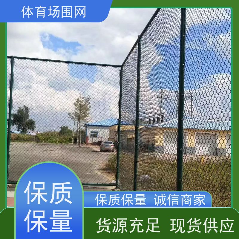 定制 球场围栏 菱形包塑铁丝网 篮球场护栏 运动场防护网 防腐耐用 冠耀