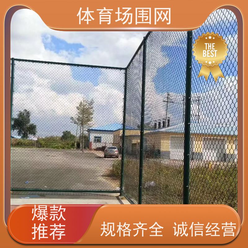冠耀 定制 学校球场围网 运动场护栏 全封闭足球场围栏网 供应GY-153
