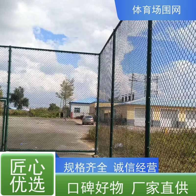 pvc包塑菱形网 球场围栏网 菱形勾花护栏网 防腐防锈