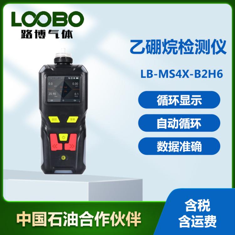 乙硼烷气体检测仪易燃易爆炸气体检测 快速准确便携式乙 硼烷浓度