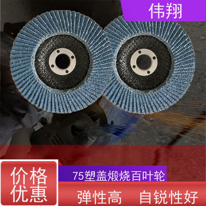 伟翔 砂布轮100x16 百叶片 碳钢 不锈钢打磨 供货及时