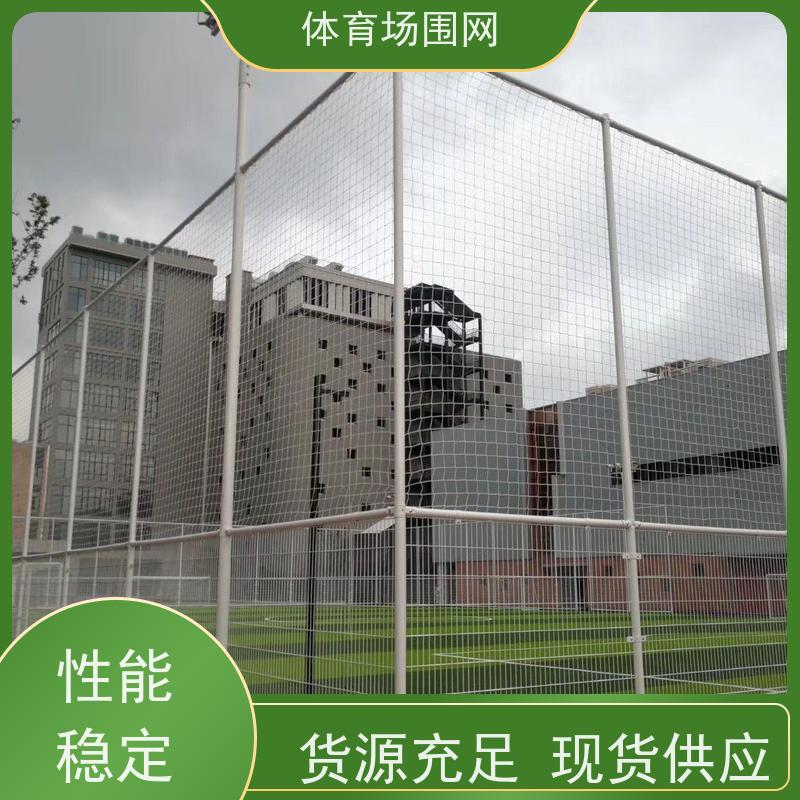 门球场围网 打砂喷塑 体育场护栏网厂家 按需定制 泽烨