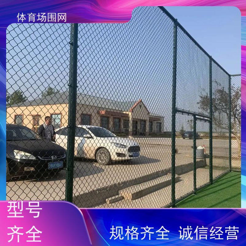 东振 室外体育场围网 学校铁丝网球场护栏 包塑勾花网