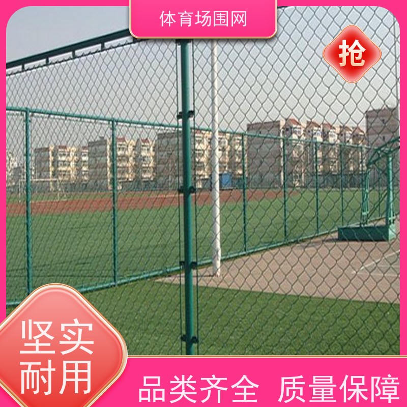 公园小区草坪围栏 厂区河道防护网 足球场篮球场护栏网生产