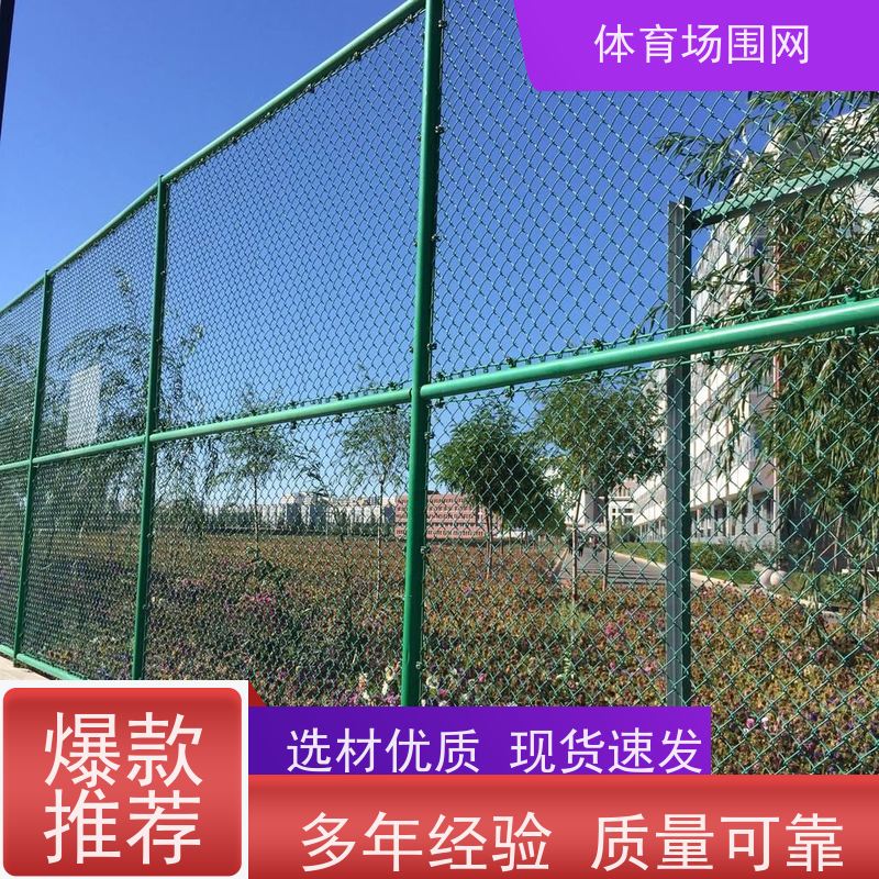 东振 田径场围网 足球场围栏网 运动场地训练场护栏 勾花网防撞击栅栏