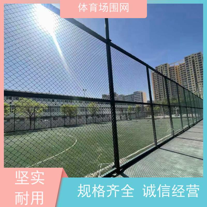 定制內镶式球场围网 篮球场球场门 体育场防护网 锦霄