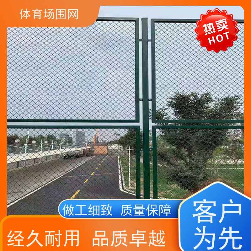 校园活动场地围栏 生产体育场围网 镀锌丝包塑 球场护栏