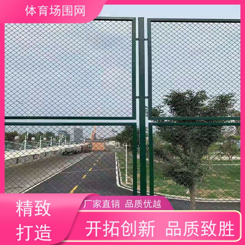 包塑PE勾花网围栏 学校防腐球场围网 体育场护栏网