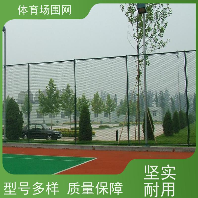 博森 低碳钢丝材质 球场包塑边框护栏网 防腐耐用