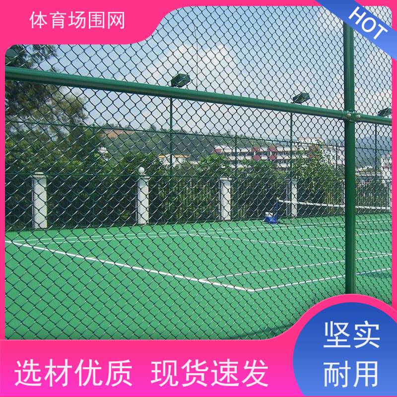仙 桃球场围栏 加粗菱形包塑球场 防腐防锈 包塑勾花护栏网
