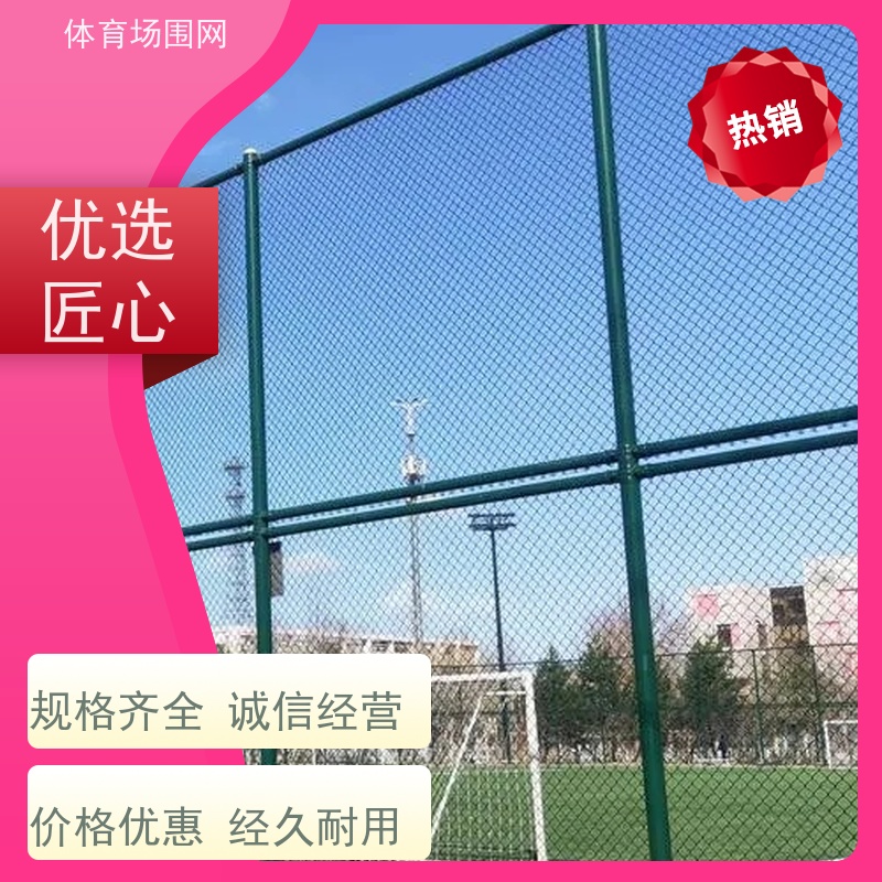 双边丝护栏 高质量球场浸塑护栏网小区 镀锌管材料 可定制