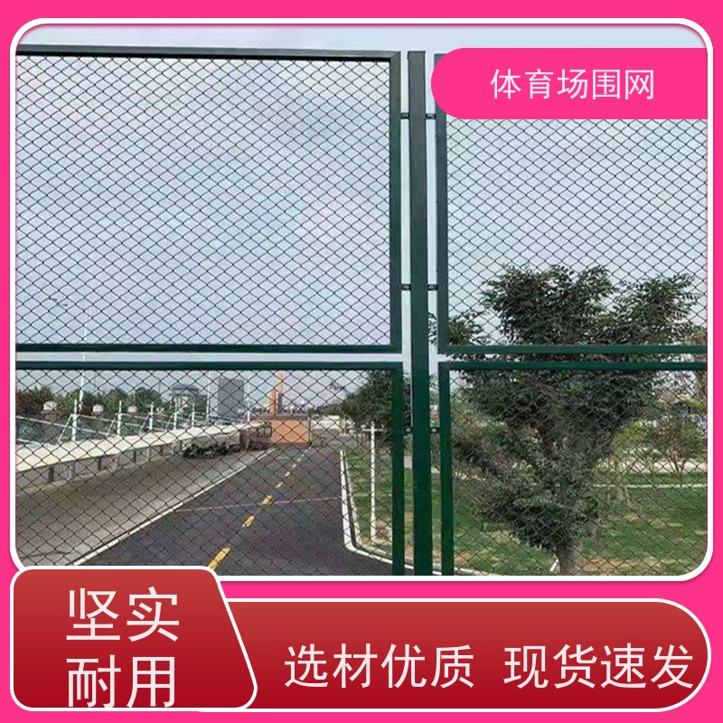 门球场围网 喷漆 墨绿色 高度3m 底盘安装预埋安装 重量5kg 丝径380mm