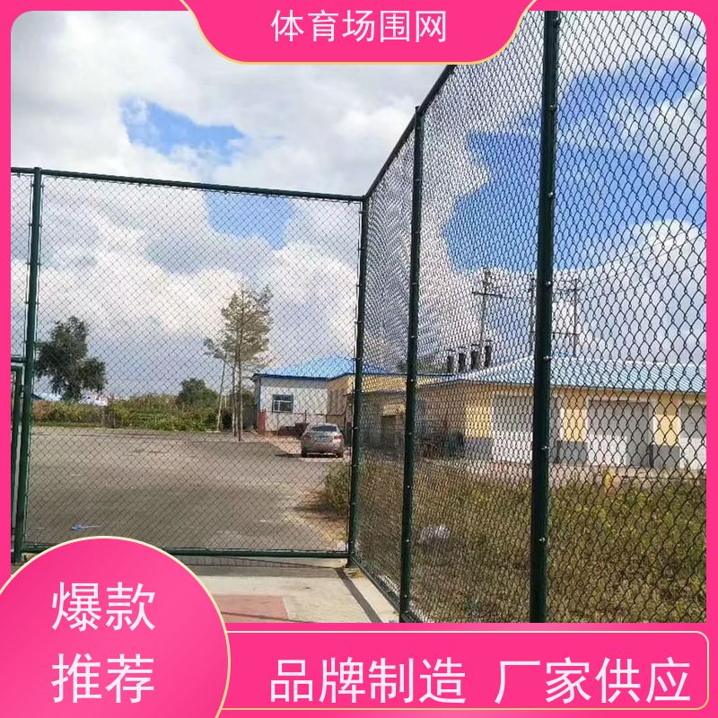 墨绿色勾花防护网 学校小区篮球场护栏 加厚球场围网 钢筋款目字型