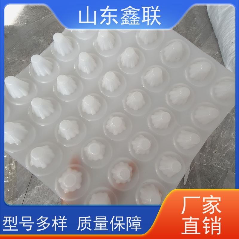 鑫联 高密度聚乙烯疏水板 花园种植耐热鑫联新 支持定做