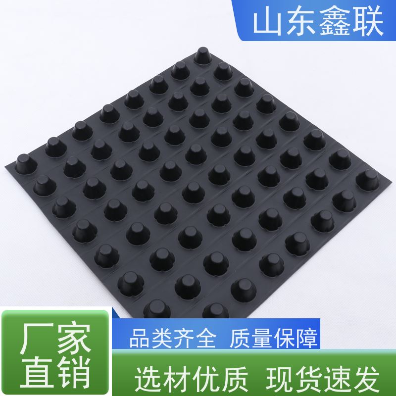 1200g高密度聚乙烯排蓄水板 建筑楼盘顶板防水卷材1.2mm厚疏水板