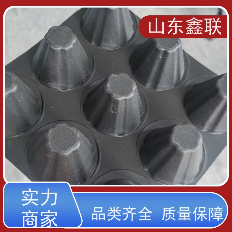 整体式复合网状交织排水板 乱丝渗水片材 30mm厚 1200克 海阔天空厂家