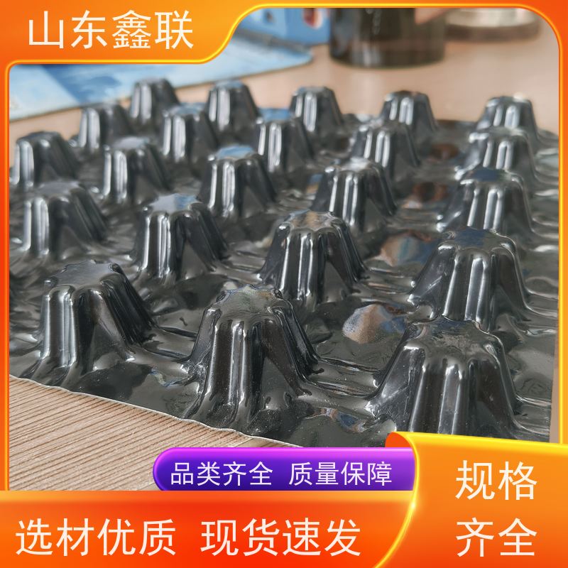 黑色HDPE塑料排水板 广场绿化用疏水板 隔音防潮 屋面防渗蓄水板