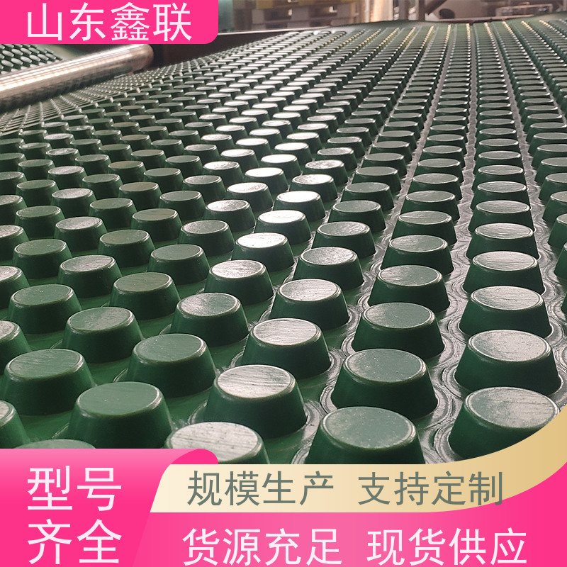 车库顶板虹吸排水板排水收集系统防护排水零坡度
