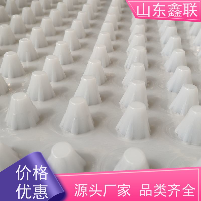 地下车库顶板疏水板 小区园林绿化凹凸滤水板 蓄水排水均匀