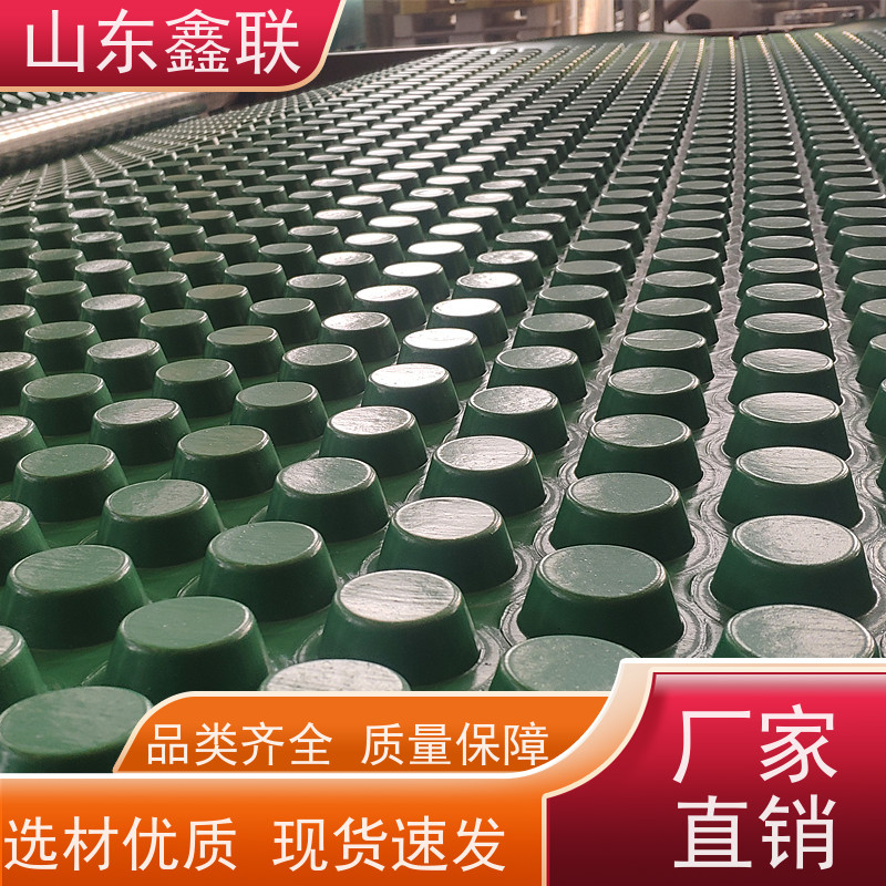 公园种植绿化疏水板车库回填塑料排水板1200克凸点朝下使用