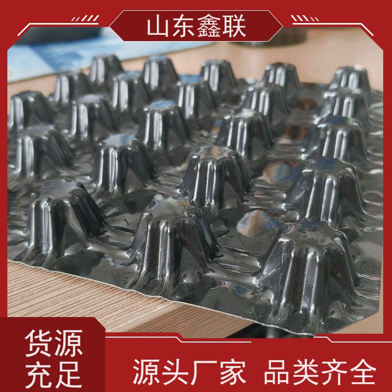H20mm 厚塑料排水板 高强度黑色免费寄样 宽度 3米