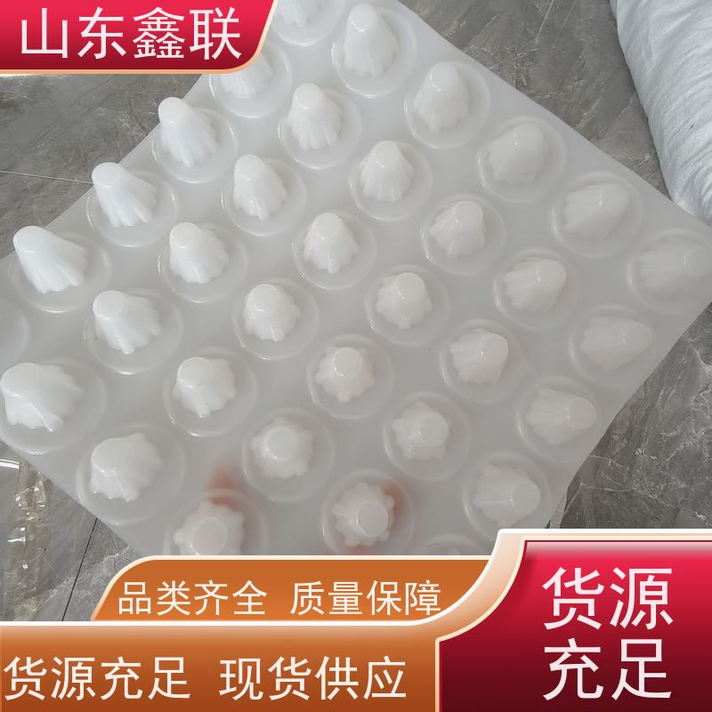 车库塑料疏水板 屋顶花园 绿化工程用鑫联新 H20 H25 H30 H50