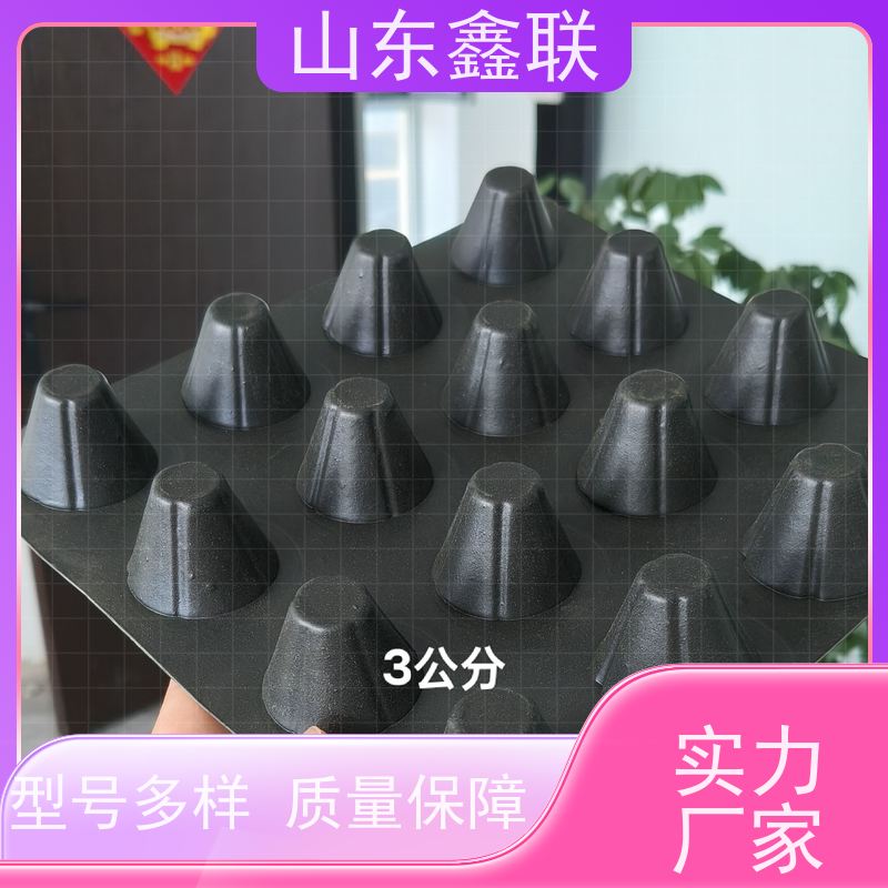 2公分 5cm排水板 黑色塑料卷材车库底板耐根穿刺疏水板