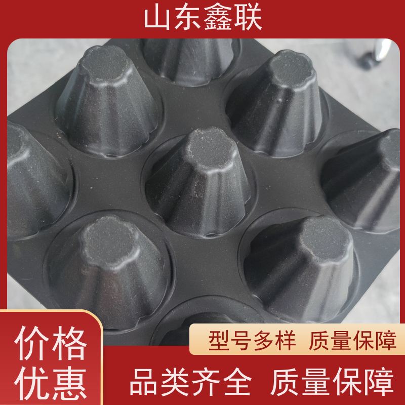 聚乙烯排水板 防渗水排水材料 抗压强度高 屋顶广场绿化排水用