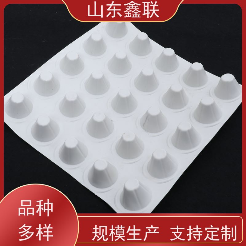 复合排水板 地下室底板蓄水板 25厚聚乙烯(HDPE)塑料排疏板 凸点向下