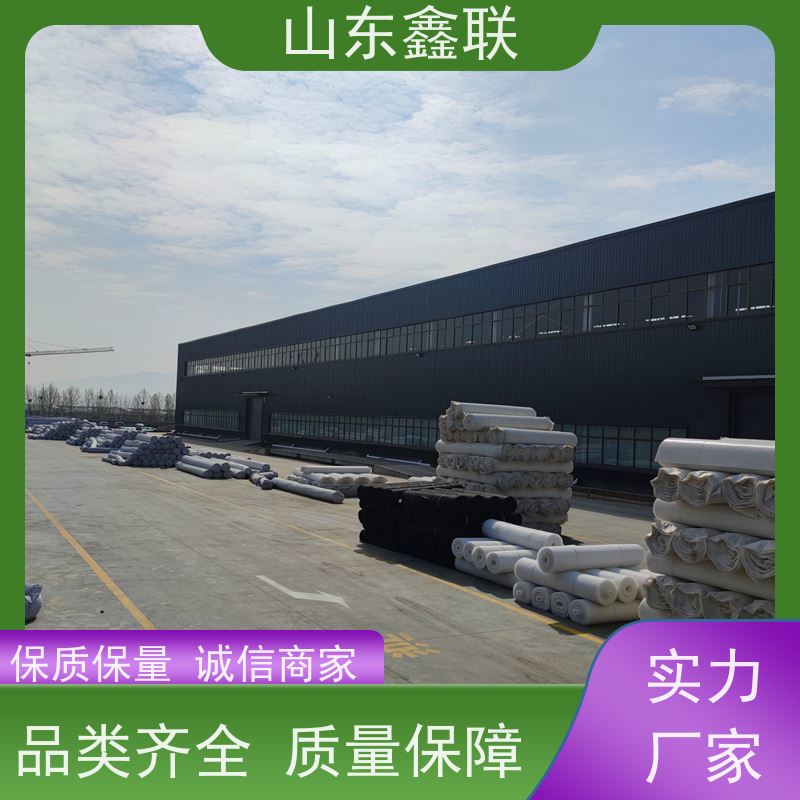 鑫联新材料 国标塑料排水板 防护凸片 厂家成本价出售 经济实用