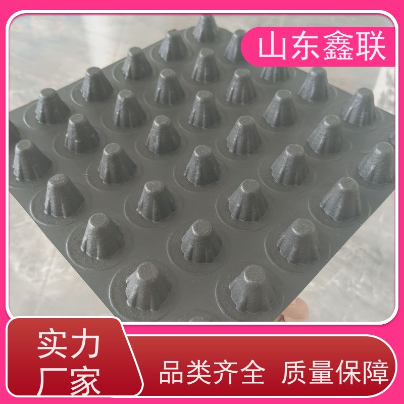 hdpe耐腐蚀抗氧化 高密度聚乙烯排水板 2公分黑色料出厂价