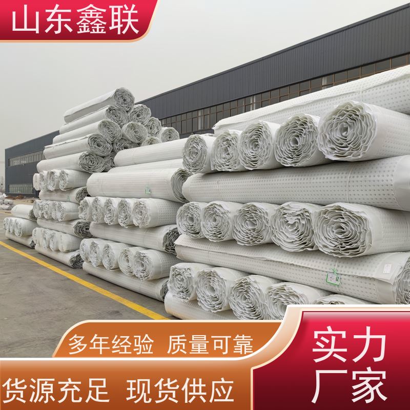 塑料排水板规格型号高强度白色支持定制 用途 疏水