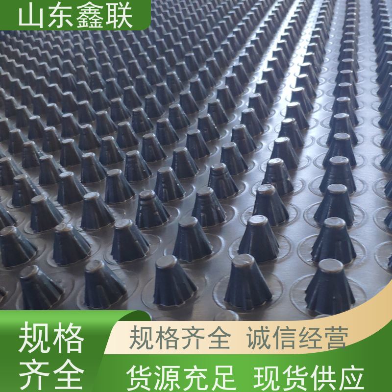 凹凸型塑料卷材排水板 hdpe车库底板导水板 实力工厂