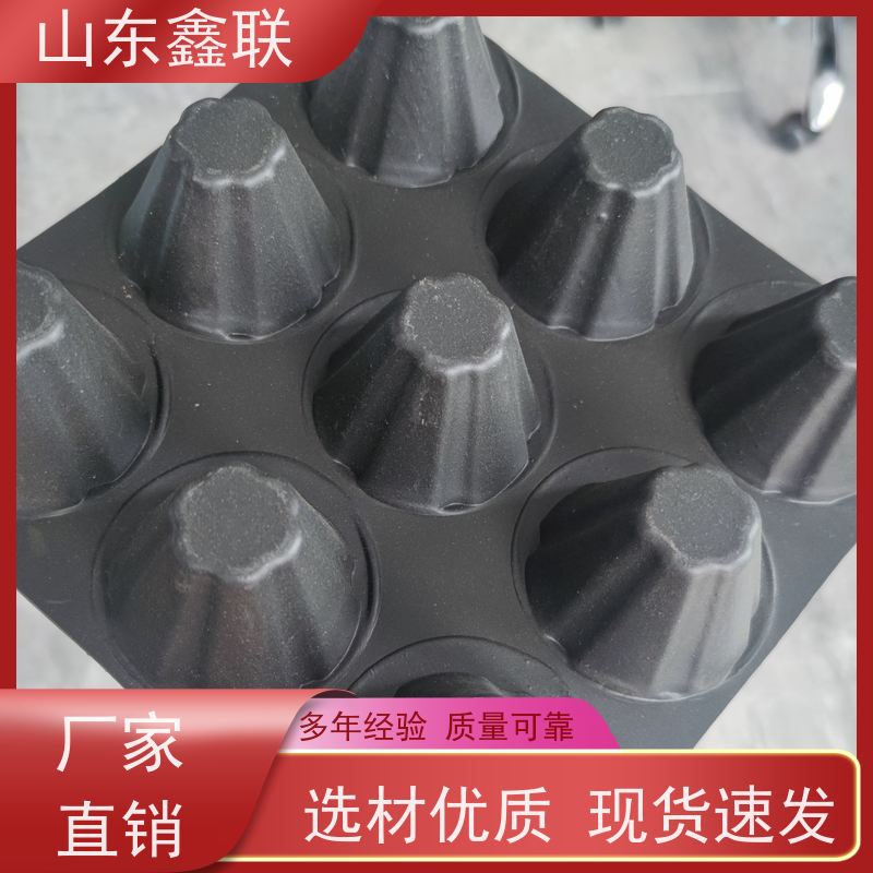 鑫联 凹凸复合塑料排水板 耐腐蚀 环保无污染凸凹疏水板