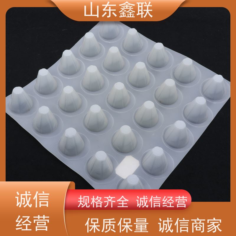 焦 作 高强度聚乙烯塑料排水板 作用 排水 阻根 鑫联新新生产供应