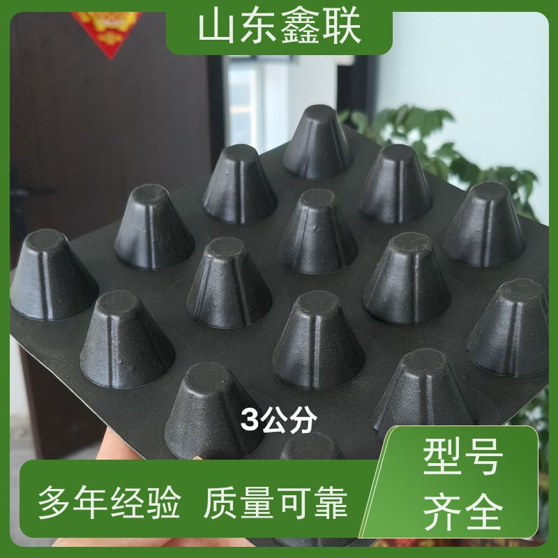 泰 州鑫联新成品复合塑料排水板 虹吸排 水板网状交织疏水板