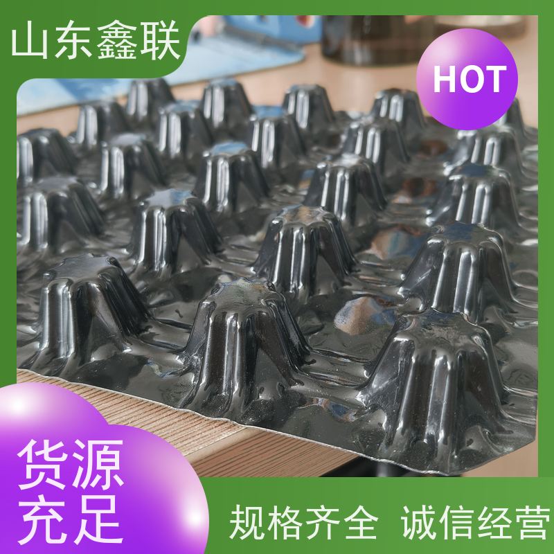 绿化种植30mm搭接粘胶排水板 H30凹凸蓄水板隔离过滤