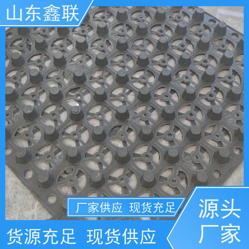 软基处理塑料排水板 2cm凸片疏水板1200克黑色