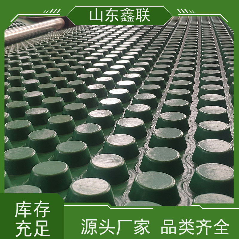 厂家生产 黑色凸点2cm车库顶板排水板 绿色蓄水板