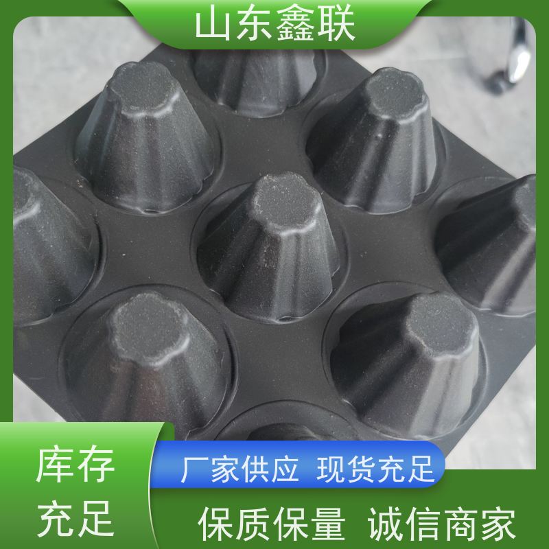 凹凸型塑料排水板楼顶绿化车库顶板卷材屋顶hdpe疏水板滤水板厂家