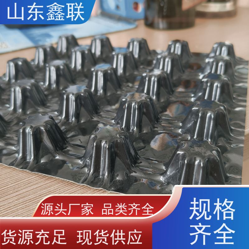 塑料凹凸型疏水板 长效复合排水板 ped14高分子防护排水异形片