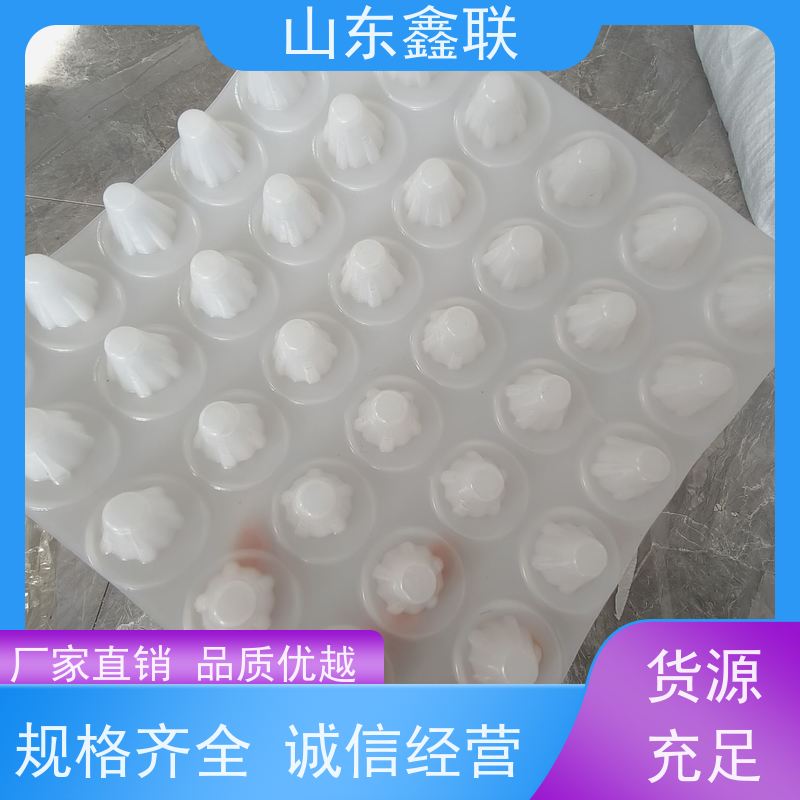 厂 家直 销塑料排水板 0.8cm-5.0cm高 规格齐全 特殊型号可定制