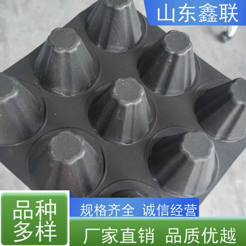 鑫联 高密度聚乙烯疏水板 种菜阻根片材排水板 厂家直供