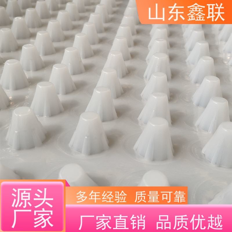 凹凸型塑料防水排水板 地下室滤水板 耐根穿刺规格齐全8mm60mm