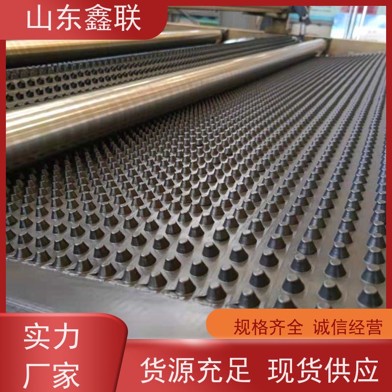 公路 铁路 水利 型号1.5mm 2.0 材质PVC 蓝色 毛细凹凸排水板