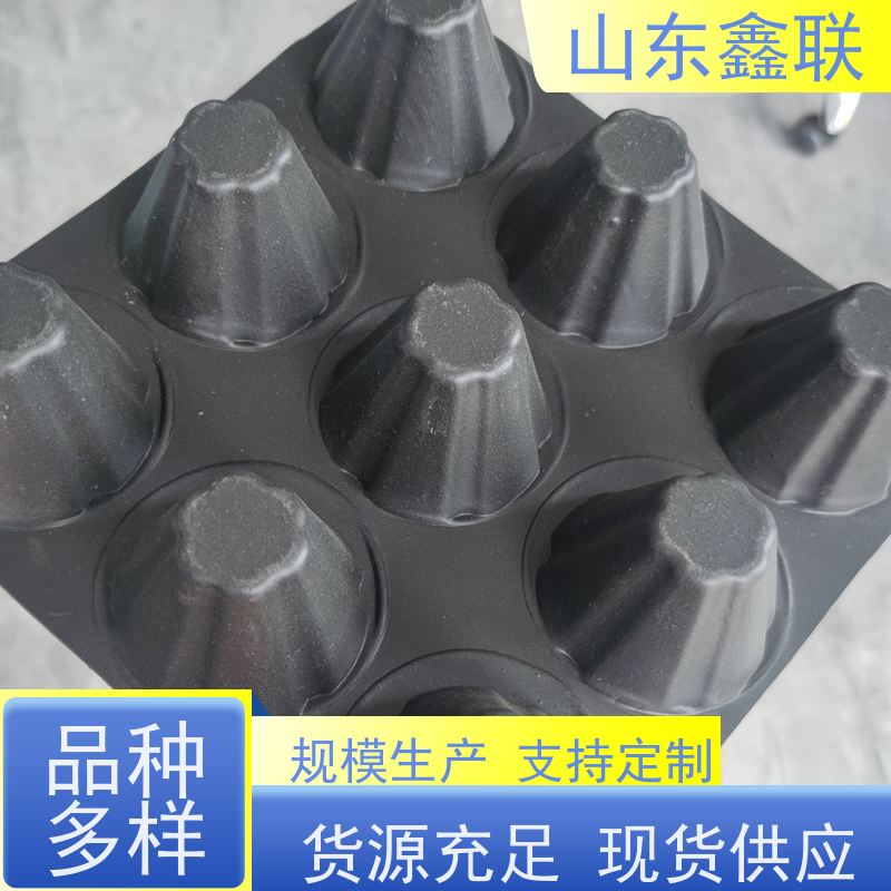 高分子鑫联新屋顶绿化种植排水疏水板凹凸型排蓄水板批发