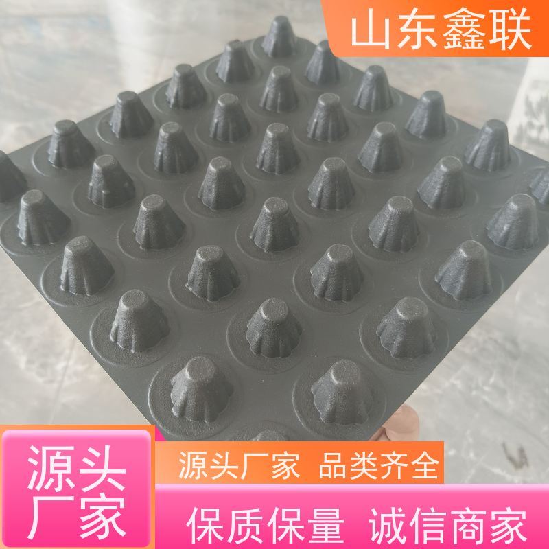 鑫联新 耐腐蚀 车库顶板疏水板 导水板 塑料排水板 8mm-60mm