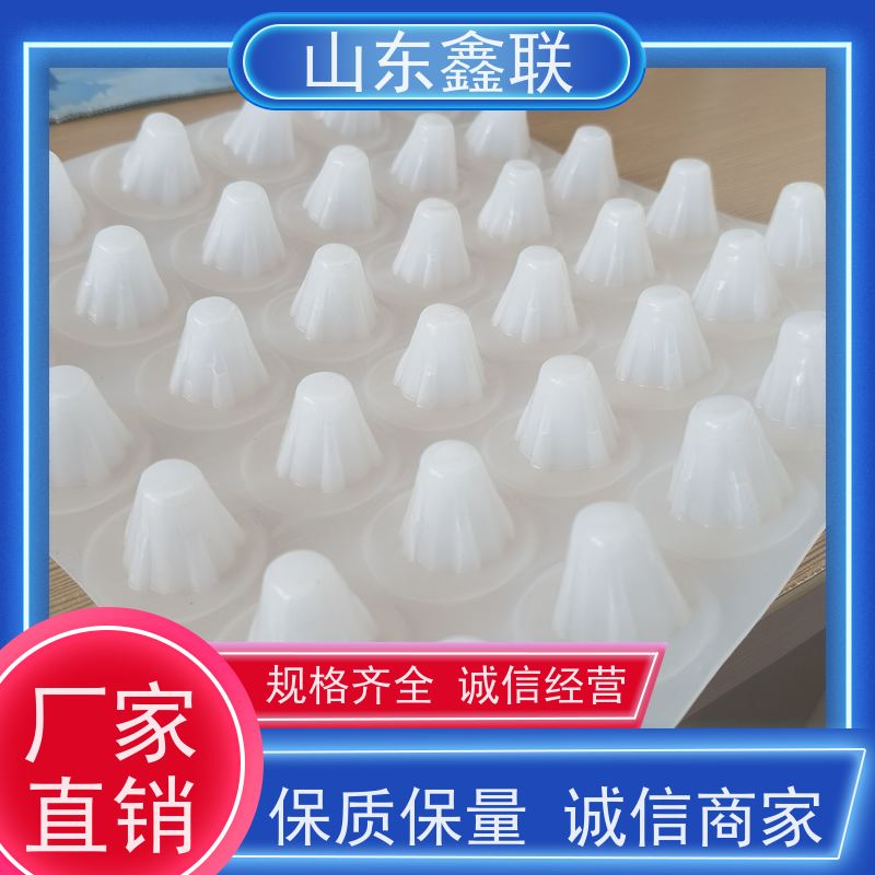 1公分 塑料排水凸片 10高凸壳型排水板 隧道排水防潮防渗