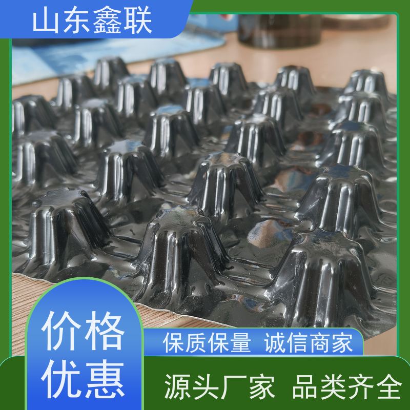 凸向朝上 20厚塑料排水板 成品复合疏水板 凹凸型滤水板